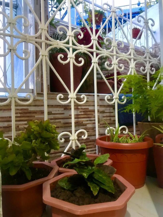 Dar Sidi Mfedal Apartment Chefchaouen Bagian luar foto