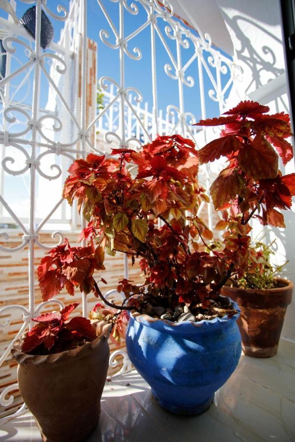 Dar Sidi Mfedal Apartment Chefchaouen Bagian luar foto